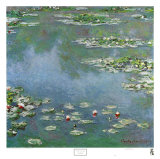 Waterlilies
