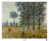 Fields in Spring
