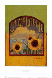 Three Sunflowers