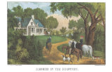Summer in the Country