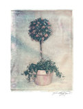 Pink Topiary