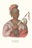 Ne-O-Mon-Ne  an Ioway Chief