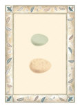Antique Eggs II