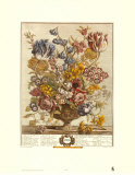 Twelve Months of Flowers  1730  April
