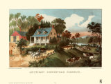 American Homestead Summer