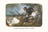 Double-Barreled Breech-Loader