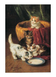 The Milk Dish
