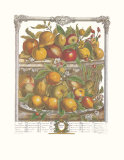 Twelve Months of Fruits  1732  April