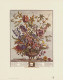 Twelve Months of Flowers  1730  February