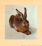 Young Hare