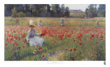 In Flanders Fields