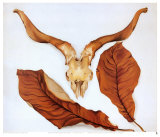 Ram's Skull with Brown Leaves