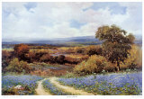 Texas Spring