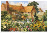 The Cottage in Summer