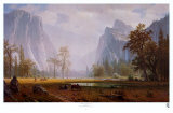 Looking Up the Yosemite Valley