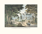 Summer Scene in the Country