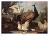 Barnyard with Chickens