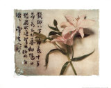 Oriental Lily