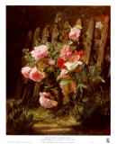 Pink Roses by a Garden Fence