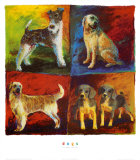Dogs  Montage