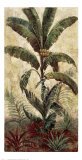 Exotic Palms I