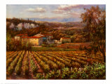 Vino Rosso