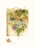 Grapes I