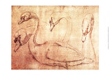 Sepia Swan Study