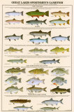 Great Lakes Sportman's Game Fish