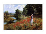 Flowers of the Field