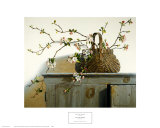 Apple Blossoms