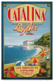 Catalina by Air