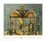 Endemic Medley II