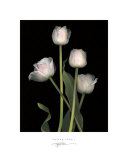Spring Song I