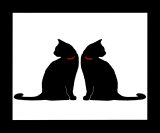 Two Black Cats