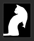 Big White Cat  Small Black Cat