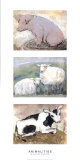 Animalities