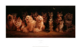 Cat's Chorus
