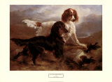 Two Setters in a Highland Landscape