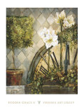 Hidden Grace II