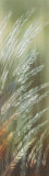 Whispers in the Wind II