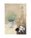 Stones and Vase
