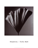 Simplicity