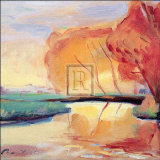 River Reflections