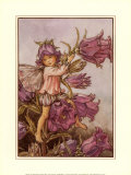 The Canterbury Bell Fairy