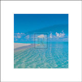 Tropical Skies II