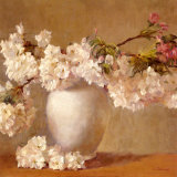 Cherry Blossom