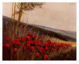 Field of Poppies