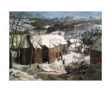 Winter in Angus