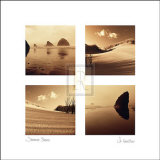 Summer Shores